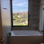 Farm stay Casa Nova Rural *