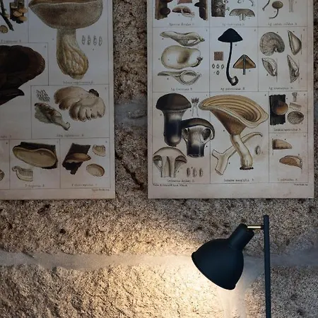 Casa Nova Rural Gospodarstwo agroturystyczne *