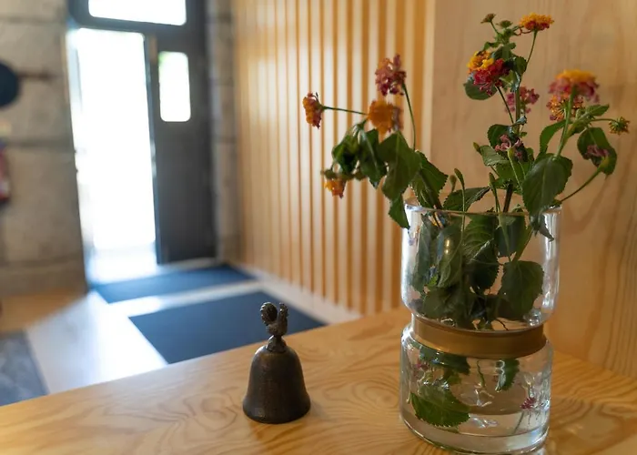 Alojamento de Turismo Rural Casa Nova Rural Nelas