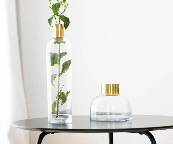 Casa Nova Rural Alojamento de Turismo Rural Nelas