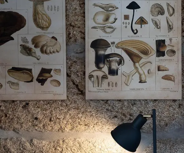 Casa Nova Rural Alojamento de Turismo Rural *